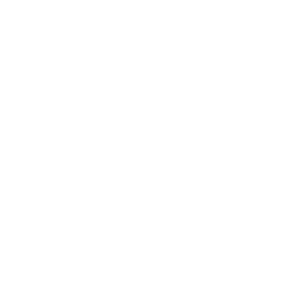 palms vision magazine